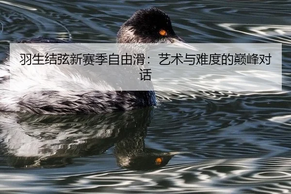 羽生结弦新赛季自由滑：艺术与难度的巅峰对话
