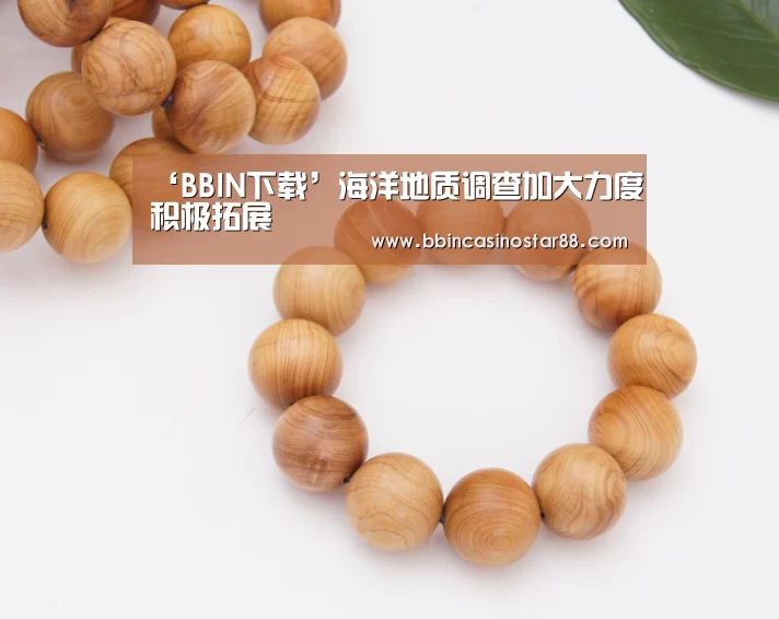 BBIN棋牌