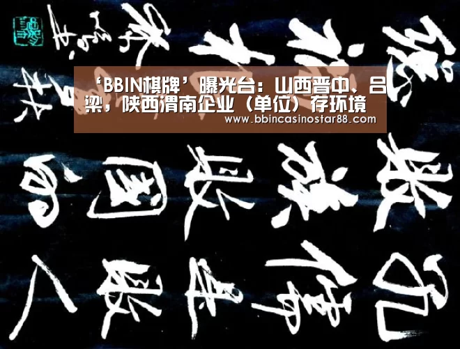 BBIN体育